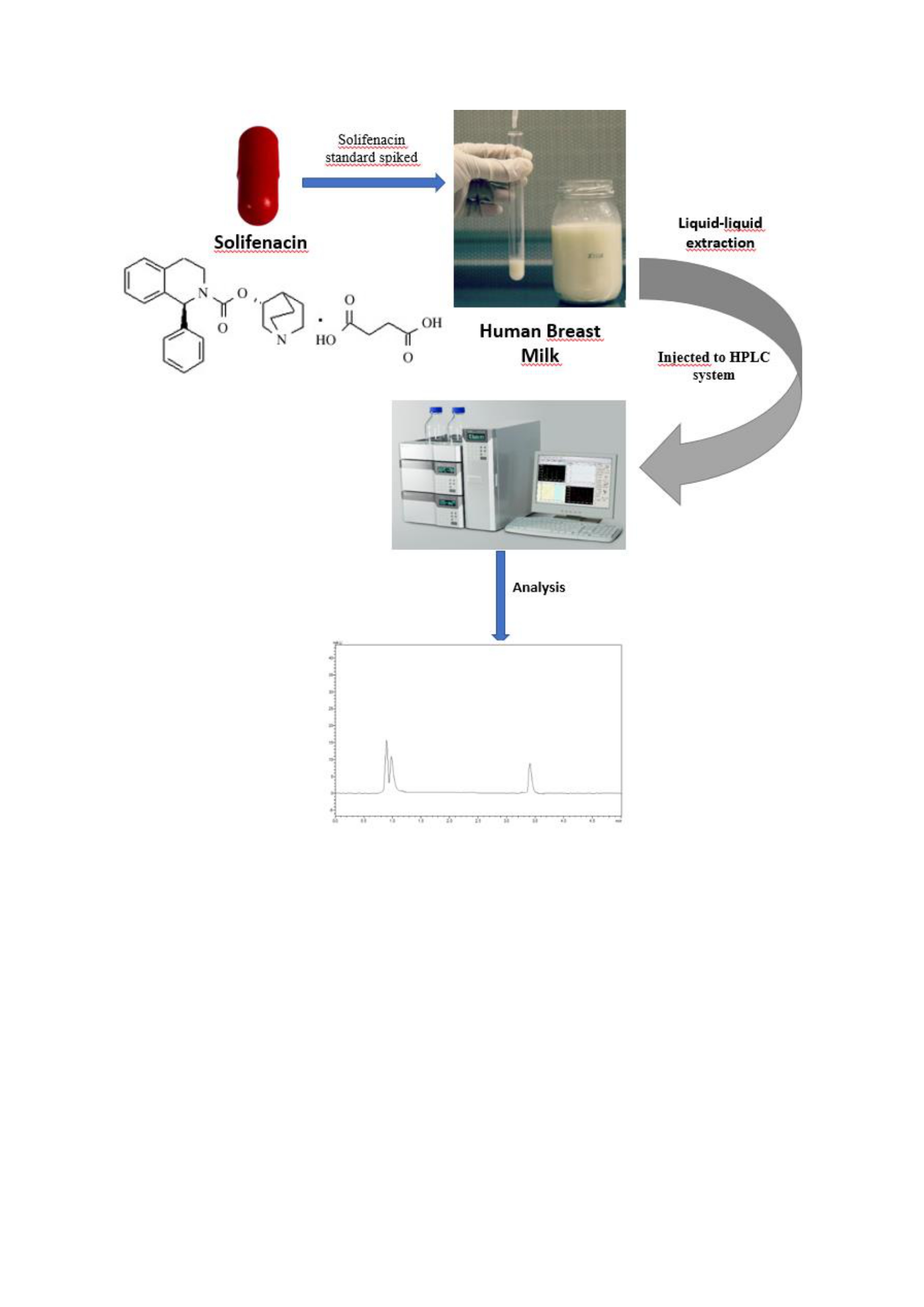 AST-2026-004_R1_P_Graphical Abstract_001_page-0001.jpg